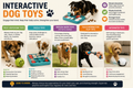 Interactive dog toys